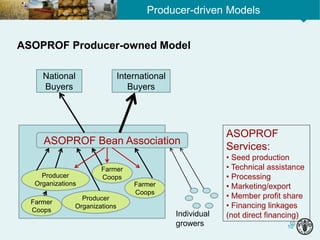 10
10
Producer-driven Models
ASOPROF Producer-owned Model
Farmer
Coops
ASOPROF Bean Association
National
Buyers
International
Buyers
Producer
Organizations
Farmer
Coops
Producer
Organizations
Farmer
Coops
ASOPROF
Services:
• Seed production
• Technical assistance
• Processing
• Marketing/export
• Member profit share
• Financing linkages
(not direct financing)Individual
growers
 