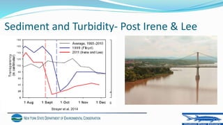 Sediment and Turbidity- Post Irene & Lee
Strayer et al. 2014
 
