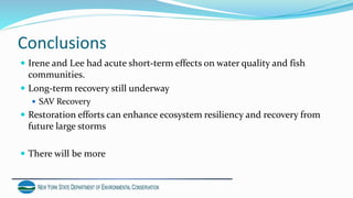 Conclusions
 Irene and Lee had acute short-term effects on water quality and fish
communities.
 Long-term recovery still underway
 SAV Recovery
 Restoration efforts can enhance ecosystem resiliency and recovery from
future large storms
 There will be more
 