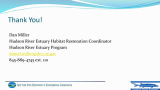 Thank You!
Dan Miller
Hudson River Estuary Habitat Restoration Coordinator
Hudson River Estuary Program
daniel.miller@dec.ny.gov
845-889-4745 ext. 110
 