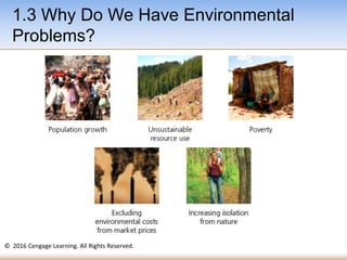 © 2016 Cengage Learning. All Rights Reserved.
1.3 Why Do We Have Environmental
Problems?
 