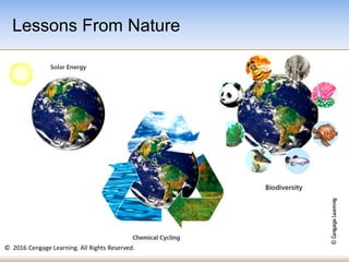 © 2016 Cengage Learning. All Rights Reserved.
Lessons From Nature
 
