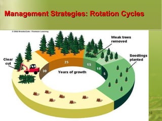 Management Strategies: Rotation Cycles 