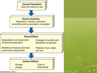 Human Population Size and resource use Human Activities Agriculture, industry, economic production and consumption, recreation Indirect Effects Direct Effects Degradation and destruction  of natural ecosystems Alteration of natural chemical cycles and energy flows Changes in number and  distribution of species Pollution of air, water,  and soil Climate  change Loss of  biodiversity 