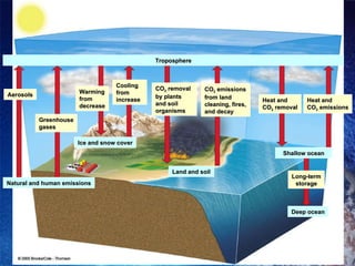 Troposphere Aerosols Greenhouse gases Warming from decrease Cooling from increase CO 2  removal by plants and soil organisms CO 2  emissions from land cleaning, fires, and decay Heat and CO 2  removal Heat and CO 2  emissions Ice and snow cover Natural and human emissions Land and soil Shallow ocean Long-term storage Deep ocean 