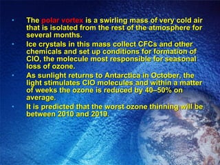 The  polar vortex  is a swirling mass of very cold air that is isolated from the rest of the atmosphere for several months.  Ice crystals in this mass collect CFCs and other chemicals and set up conditions for formation of CIO, the molecule most responsible for seasonal loss of ozone. As sunlight returns to Antarctica in October, the light stimulates CIO molecules and within a matter of weeks the ozone is reduced by 40–50% on average. It is predicted that the worst ozone thinning will be between 2010 and 2019. 