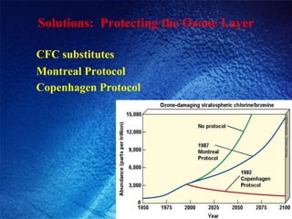 Solutions:  Protecting the Ozone Layer CFC substitutes  Montreal Protocol  Copenhagen Protocol 