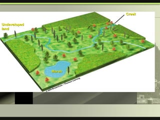 Undeveloped land Marsh Creek 