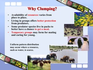 Population Ecology | PPT | Environment | Science