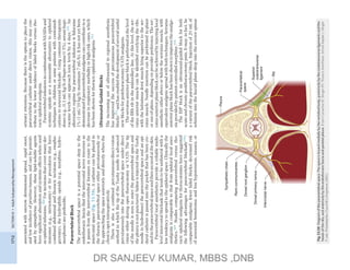 Miller charts.pdf