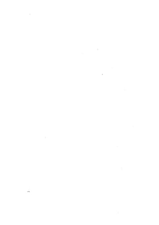 Miller henry   primavera negra