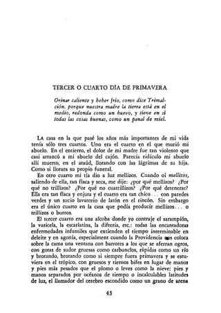 Miller henry   primavera negra