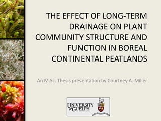 THE EFFECT OF LONG-TERM
        DRAINAGE ON PLANT
COMMUNITY STRUCTURE AND
       FUNCTION IN BOREAL
   CONTINENTAL PEATLANDS

An M.Sc. Thesis presentation by Courtney A. Miller
 