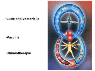•Lutte anti-vectorielle




•Vaccins



•Chimiothérapie
 