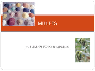 FUTURE OF FOOD & FARMING
MILLETS
 
