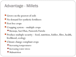 Advantage - Millets
Grows on the poorest of soils
No demand for synthetic fertilisers
Pest free crops
Cropping system – multiple crops
Baranaja, Saat Dhan, Pannendu Pantalu
Produce multiple security – food, nutrition, fodder, fibre, health,
livelihood, ecology
Climate change compliant crops
Increasing temperatures
Increasing water stress
Malnutrition
 
