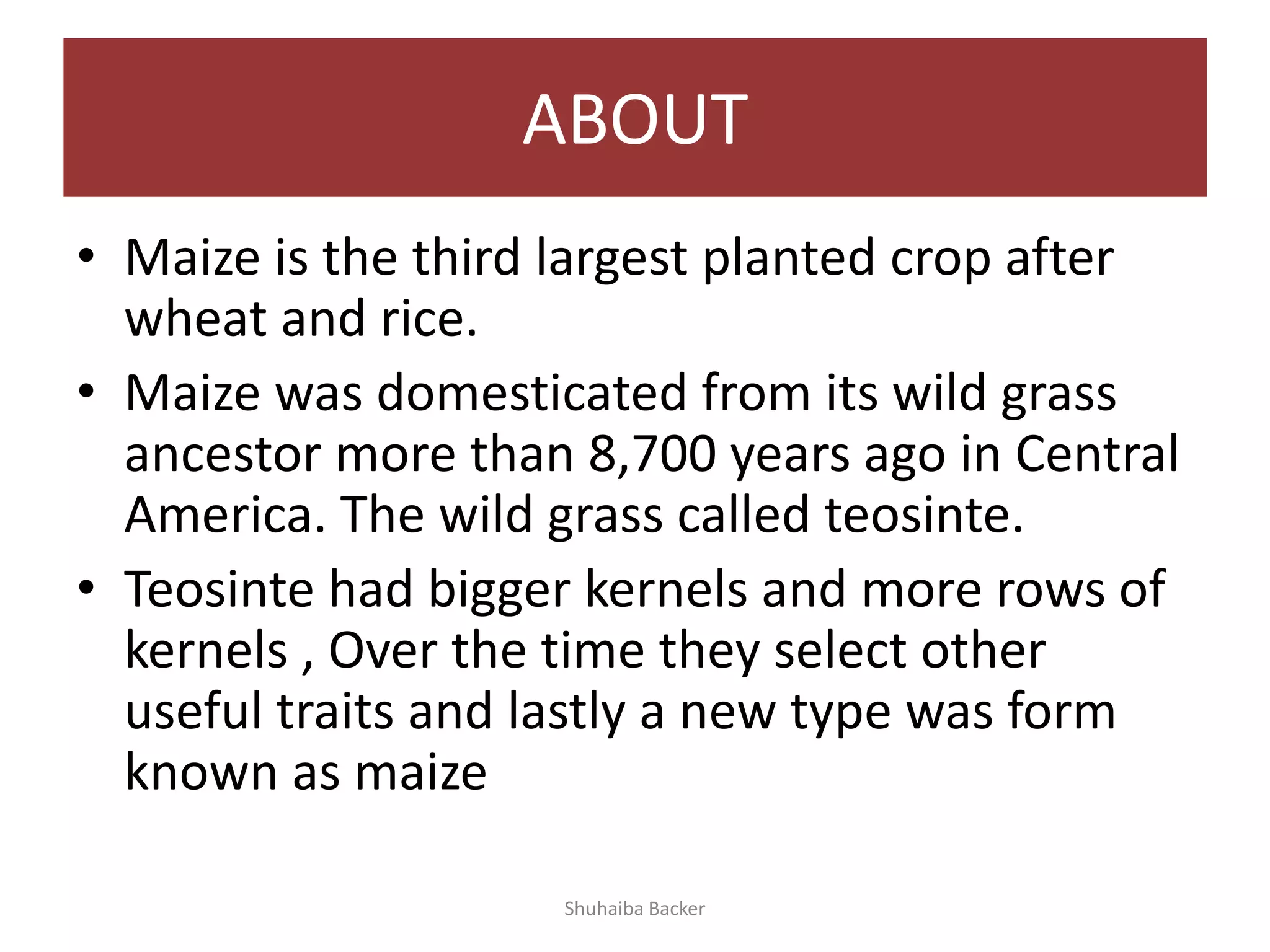 Maize and Millets | PPTX