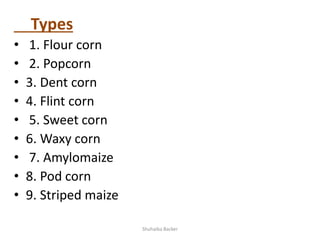 Maize and Millets | PPTX