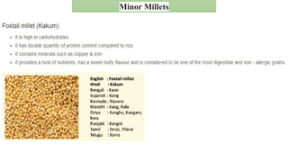 Millets.pptx types of millet introduced of millet | PPTX