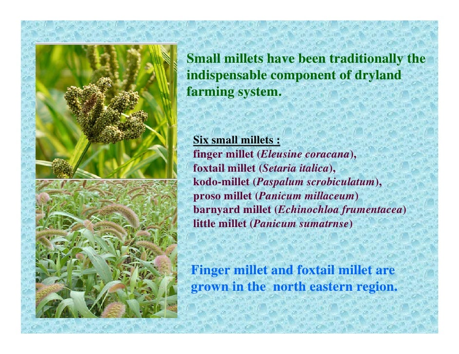 Millets For Food And Nutritional Security