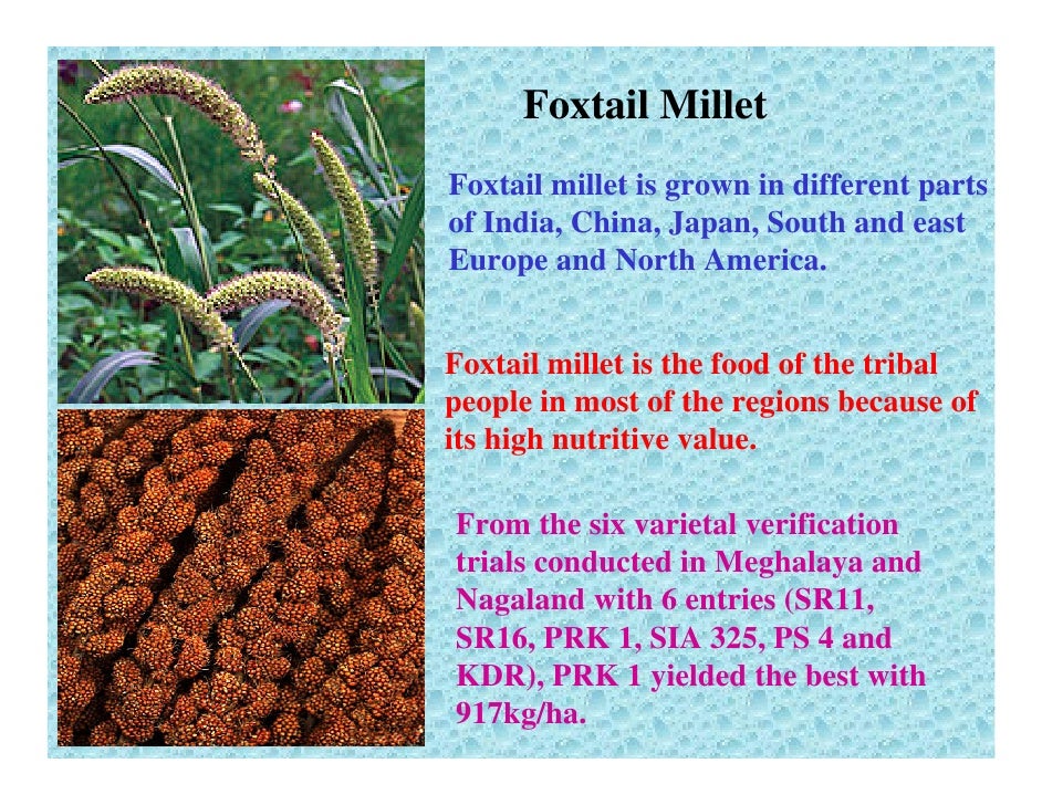 Millets For Food And Nutritional Security