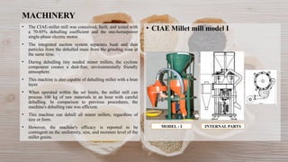 MILLETS IN FOOD PROCESSING AND THEIR USES | PPTX