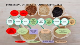 MILLETS IN FOOD PROCESSING AND THEIR USES | PPTX
