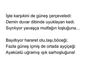 İşte karşıkini de güneş çerçeveledi:
Demin duvar dibinde uyuklayan kedi.
Sıyrılıyor yavaşça mutfağın loşluğuna…
Bayıltıyor hararet otu,taşı,böceği;
Fazla güneş içmiş de ortada ayçiçeği
Ayaküstü uğramış ışık sarhoşluğuna!
 