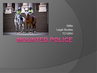 Mounted Police Millie Legal Studies TC10RH 