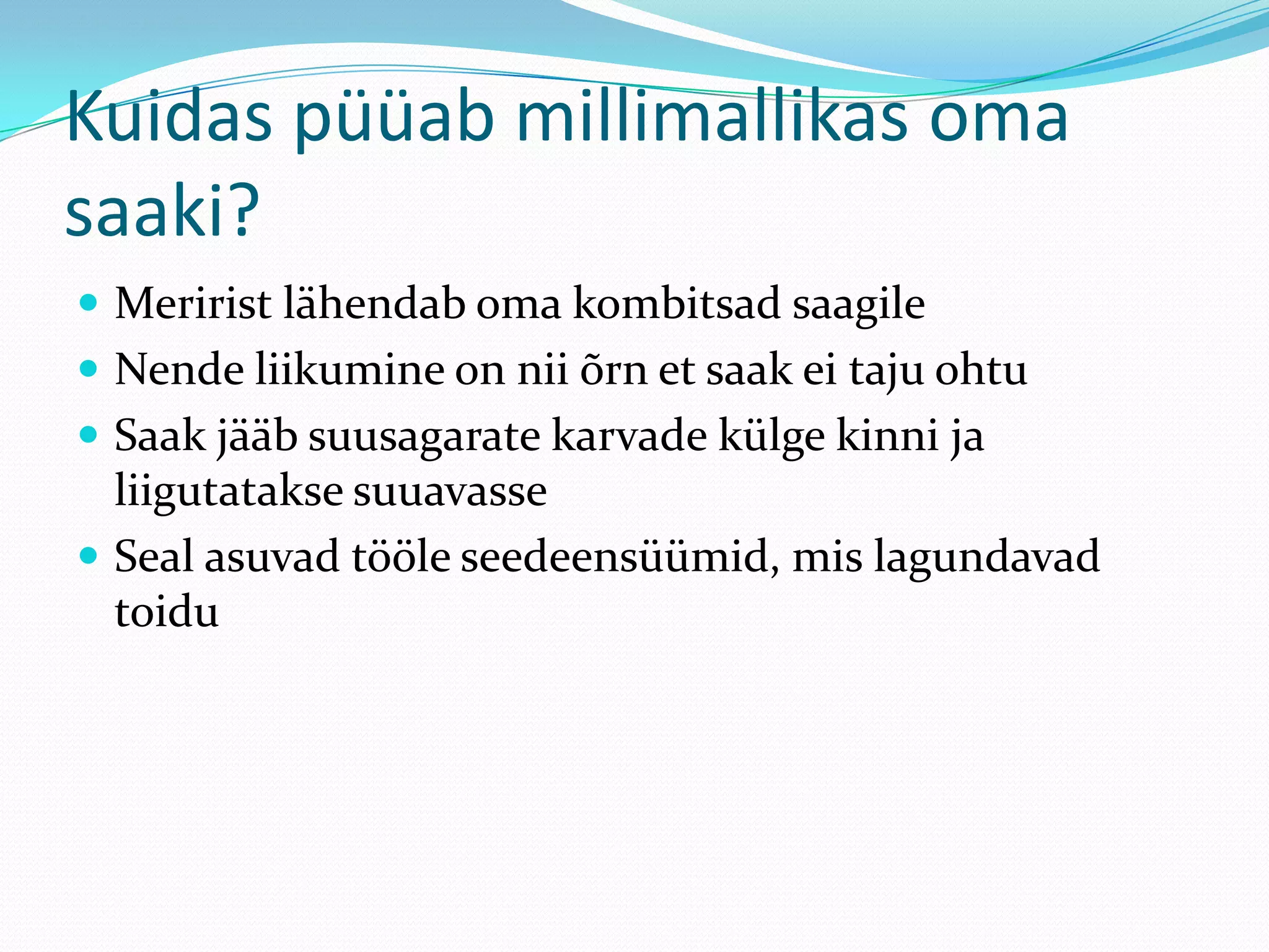 Kuidas püüab millimallikas oma
saaki?
 Meririst lähendab oma kombitsad saagile
 Nende liikumine on nii õrn et saak ei taju ohtu
 Saak jääb suusagarate karvade külge kinni ja

liigutatakse suuavasse
 Seal asuvad tööle seedeensüümid, mis lagundavad
toidu

 
