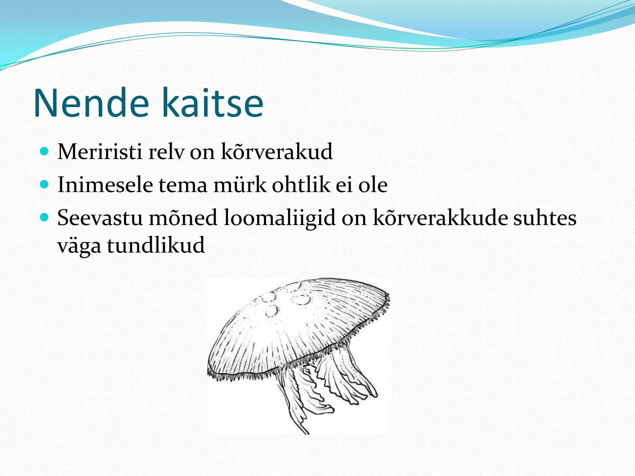 Nende kaitse
 Meriristi relv on kõrverakud
 Inimesele tema mürk ohtlik ei ole
 Seevastu mõned loomaliigid on kõrverakkude suhtes

väga tundlikud

 