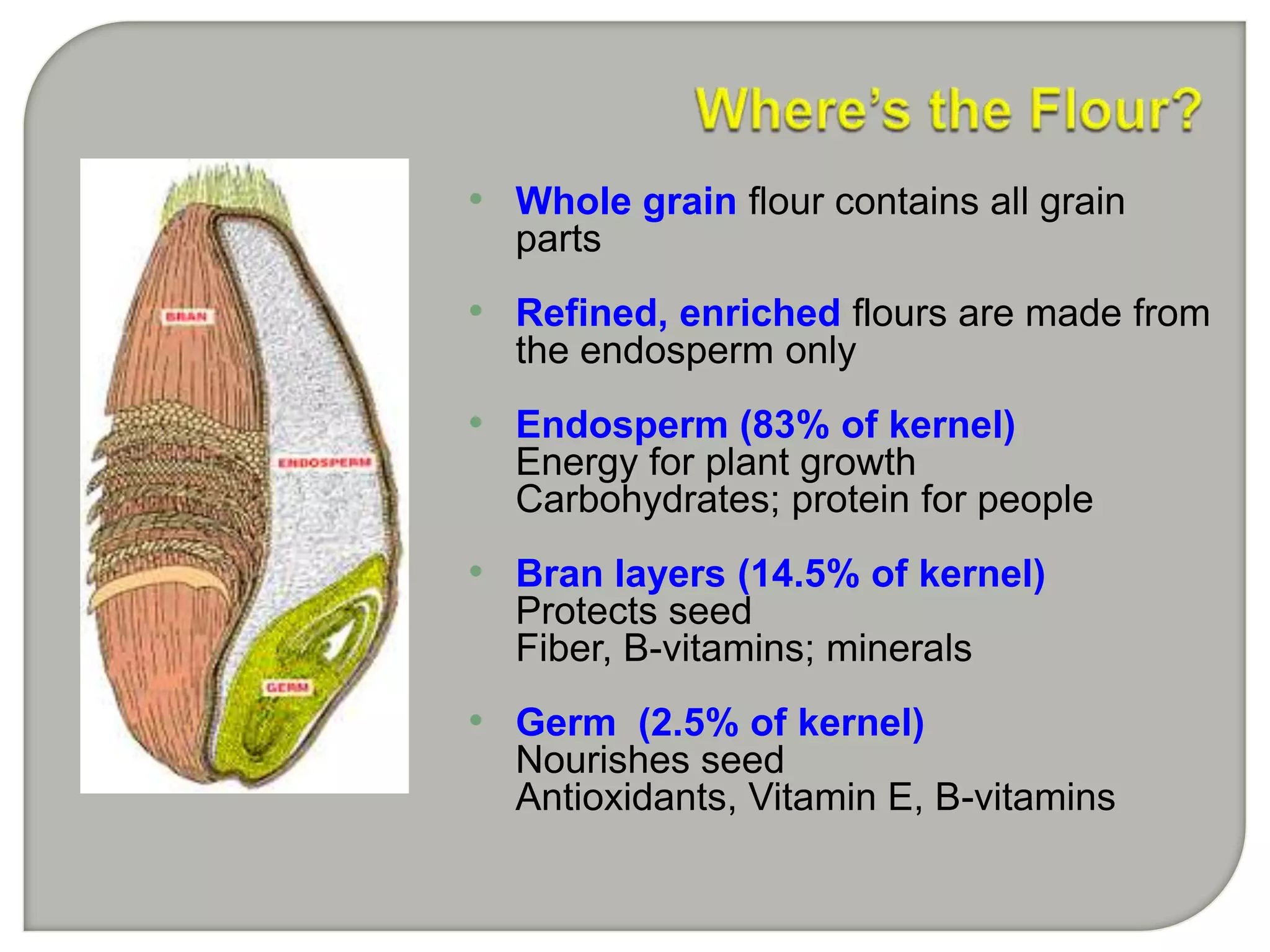 • Whole grain flour contains all grain
  parts
• Refined, enriched flours are made from
  the endosperm only
• Endosperm (83% of kernel)
  Energy for plant growth
  Carbohydrates; protein for people
• Bran layers (14.5% of kernel)
  Protects seed
  Fiber, B-vitamins; minerals
• Germ (2.5% of kernel)
  Nourishes seed
  Antioxidants, Vitamin E, B-vitamins
 