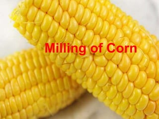 Milling of Corn
 