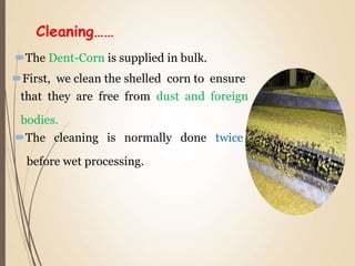 Milling of corn.ppt