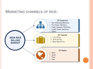 MARKETING CHANNELS OF RICE-
 