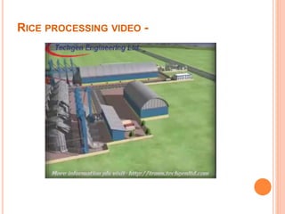 RICE PROCESSING VIDEO -
 