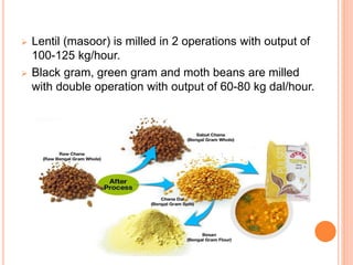  Lentil (masoor) is milled in 2 operations with output of
100-125 kg/hour.
 Black gram, green gram and moth beans are milled
with double operation with output of 60-80 kg dal/hour.
 