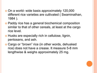  On a world- wide basis approximately 120,000
different rice varieties are cultivated ( Swaminathan,
1984 ).
 Paddy rice has a general biochemical composition
similar to that of other cereals, at least at the cargo
rice level.
 Husks are especially rich in cellulose, lignin,
pentosans, and ash.
 Cargo or “brown” rice (in other words, dehusked
rice) does not have a crease. It measure 5-8 mm
lengthwise & weighs approximately 25 mg.
 