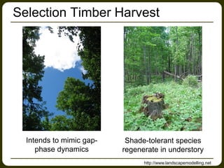 Selection Timber Harvest
Shade-tolerant species
regenerate in understory
Intends to mimic gap-
phase dynamics
http://www.landscapemodelling.net
 