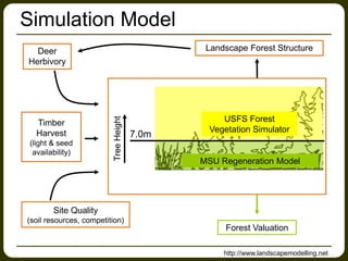 Simulation Model
USFS Forest
Vegetation Simulator
MSU Regeneration Model
7.0m
TreeHeight
Deer
Herbivory
Landscape Forest Structure
Forest Valuation
Timber
Harvest
(light & seed
availability)
Site Quality
(soil resources, competition)
http://www.landscapemodelling.net
 