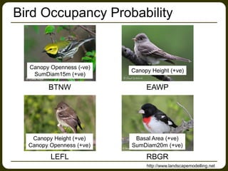 Bird Occupancy Probability
BTNW EAWP
LEFL RBGR
Canopy Openness (-ve)
SumDiam15m (+ve)
Canopy Height (+ve)
Canopy Height (+ve)
Canopy Openness (+ve)
Basal Area (+ve)
SumDiam20m (+ve)
http://www.landscapemodelling.net
 