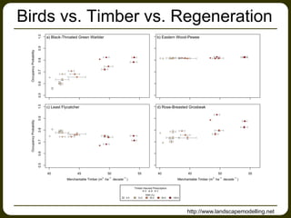 Birds vs. Timber vs. Regeneration
http://www.landscapemodelling.net
 