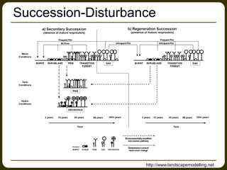 Succession-Disturbance
http://www.landscapemodelling.net
 