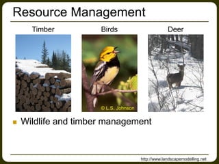 Resource Management
 Wildlife and timber management
Timber Deer
© L.S. Johnson
Birds
http://www.landscapemodelling.net
 