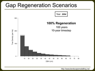 Gap Regeneration Scenarios
100% Regeneration
100 years
10-year timestep
Year
http://www.landscapemodelling.net
 