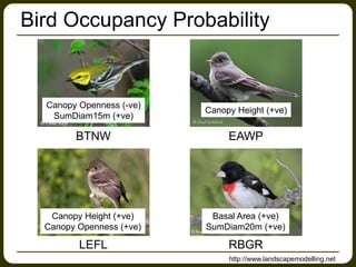 Bird Occupancy Probability
BTNW EAWP
LEFL RBGR
Canopy Openness (-ve)
SumDiam15m (+ve)
Canopy Height (+ve)
Canopy Height (+...