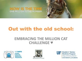 Out with the old school:
EMBRACING THE MILLION CAT
CHALLENGE ♥
 