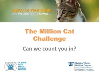The Million Cat
Challenge
Can we count you in?
 