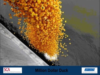 Million Dollar Duck 