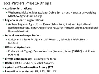 Scaling agricultural innovations: Theoretical and practical insights from Africa RISING Ethiopian Highlands Project 